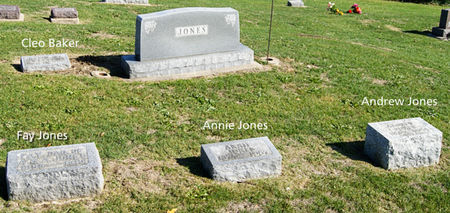 JONES, ANDREW, FAMILY PLOT OF - Taylor County, Iowa | ANDREW, FAMILY PLOT OF JONES 