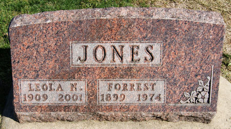 JONES, LEOLA NELLIE - Taylor County, Iowa | LEOLA NELLIE JONES 