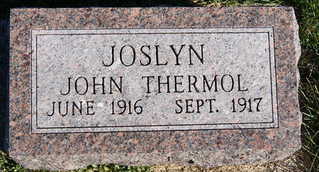 JOSLYN, JOHN THERMOL - Taylor County, Iowa | JOHN THERMOL JOSLYN 