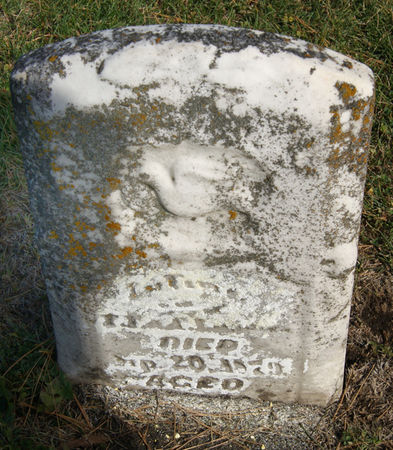 LANDIS, LAFE - Taylor County, Iowa | LAFE LANDIS 