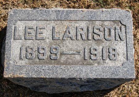 LARISON, ALBERT LEE - Taylor County, Iowa | ALBERT LEE LARISON 