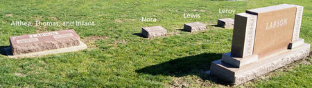 LARSON, LEWIS, FAMILY PLOT OF - Taylor County, Iowa | LEWIS, FAMILY PLOT OF LARSON 