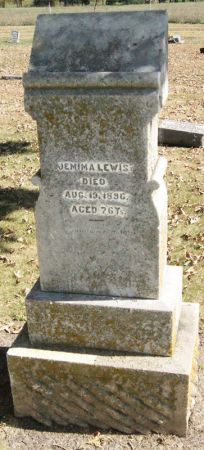 GOODWIN LEWIS, JEMIMA - Taylor County, Iowa | JEMIMA GOODWIN LEWIS 