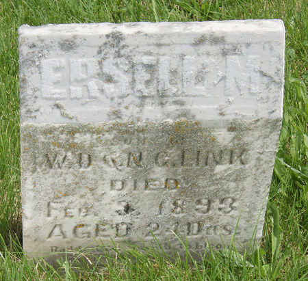 LINK, ERSEL M. - Taylor County, Iowa | ERSEL M. LINK 