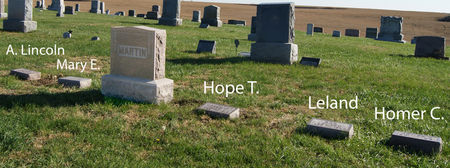 MARTIN, ABRAHAM LINCOLN, FAMILY PLOT OF - Taylor County, Iowa | ABRAHAM LINCOLN, FAMILY PLOT OF MARTIN 