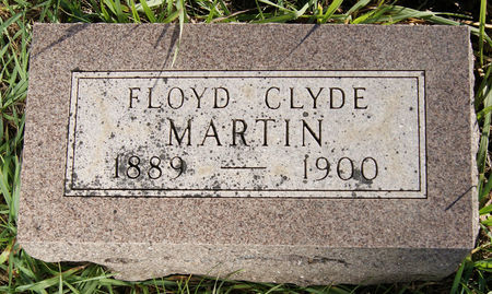 MARTIN, FLOYD CLYDE - Taylor County, Iowa | FLOYD CLYDE MARTIN 