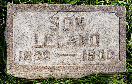 MARTIN, LELAND - Taylor County, Iowa | LELAND MARTIN 