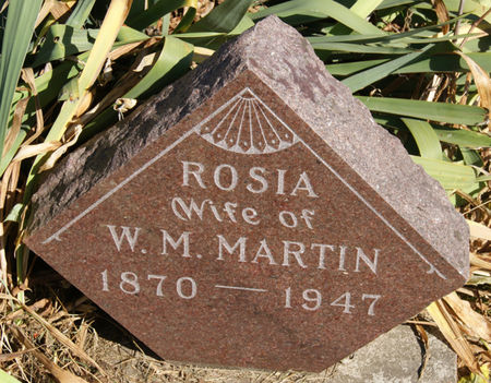 MARTIN, ROSA (ROSIA) - Taylor County, Iowa | ROSA (ROSIA) MARTIN 