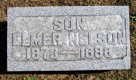 MCCORMICK, ELMER NELSON - Taylor County, Iowa | ELMER NELSON MCCORMICK 