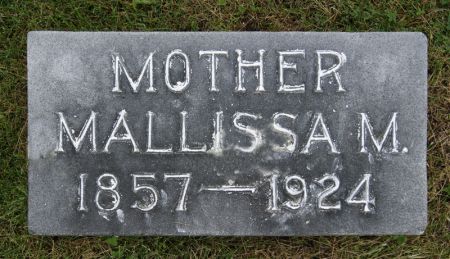 ENDSLEY MCGINNESS, MALLISSA - Taylor County, Iowa | MALLISSA ENDSLEY MCGINNESS 