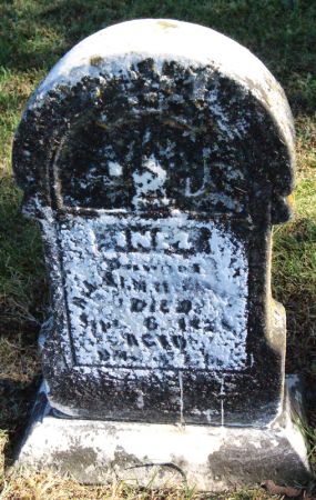 MCKINLEY, INEZ - Taylor County, Iowa | INEZ MCKINLEY 