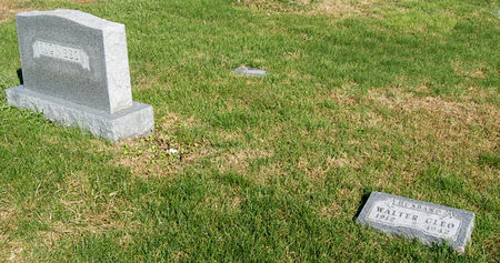 MCNEES, WALTER CLEO, FAMILY PLOT - Taylor County, Iowa | WALTER CLEO, FAMILY PLOT MCNEES 