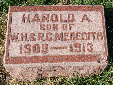 MEREDITH, HAROLD ARLO - Taylor County, Iowa | HAROLD ARLO MEREDITH 