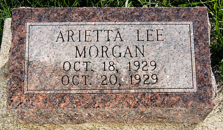 MORGAN, ARIETTA LEE - Taylor County, Iowa | ARIETTA LEE MORGAN 