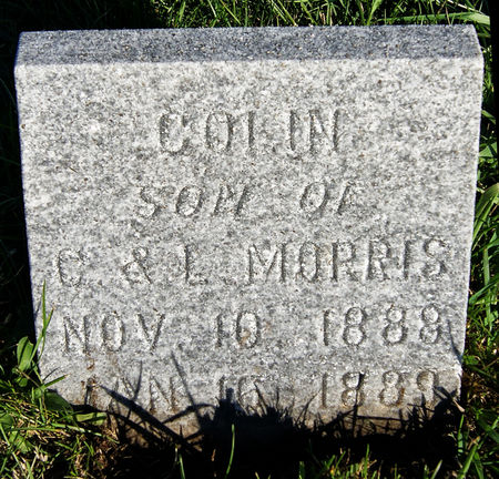 MORRIS, COLIN - Taylor County, Iowa | COLIN MORRIS 