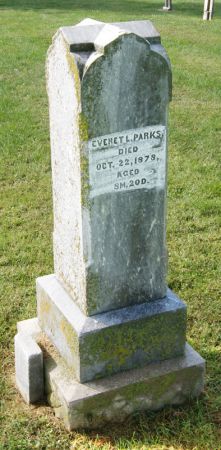 PARKS, EVERET LEE - Taylor County, Iowa | EVERET LEE PARKS 