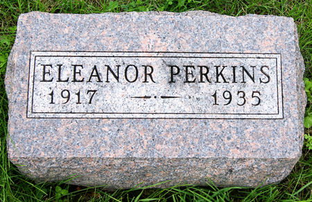 PERKINS, MARY ELEANOR - Taylor County, Iowa | MARY ELEANOR PERKINS 