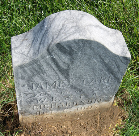 RICHARDSON, JAMES CARL - Taylor County, Iowa | JAMES CARL RICHARDSON 