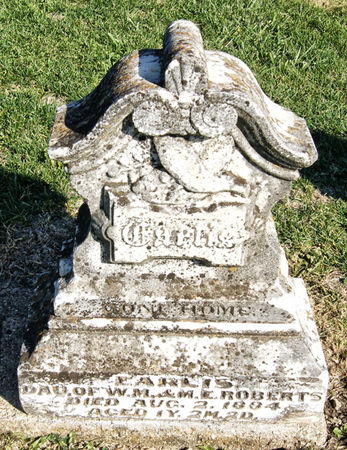 ROBERTS, EARLIS - Taylor County, Iowa | EARLIS ROBERTS 