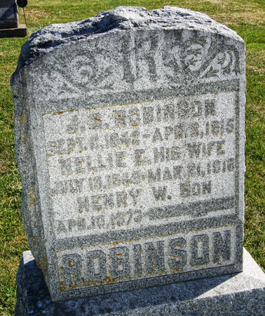 ROBINSON, NELLIE E. - Taylor County, Iowa | NELLIE E. ROBINSON 