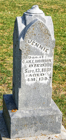 ROBINSON, JENNIE LAURIE - Taylor County, Iowa | JENNIE LAURIE ROBINSON 