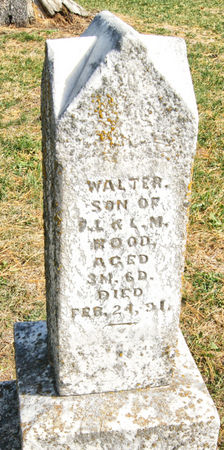 ROOD, WALTER - Taylor County, Iowa | WALTER ROOD 