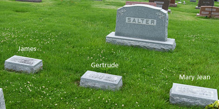 SALTER, JAMES, FAMILY PLOT OF - Taylor County, Iowa | JAMES, FAMILY PLOT OF SALTER 