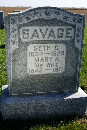 CAUGHEY SAVAGE, MARY ANN - Taylor County, Iowa | MARY ANN CAUGHEY SAVAGE 