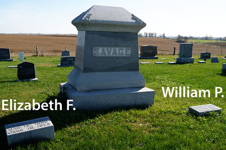 SAVAGE, WILLIAM P., FAMILY PLOT - Taylor County, Iowa | WILLIAM P., FAMILY PLOT SAVAGE 