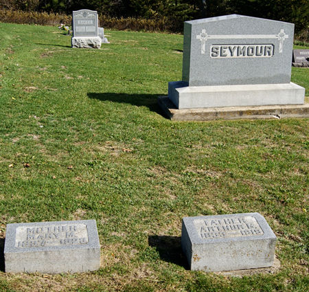 SEYMOUR, ARTHUR GRISWOLD, FAMILY PLOT OF - Taylor County, Iowa | ARTHUR GRISWOLD, FAMILY PLOT OF SEYMOUR 