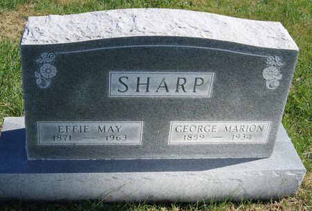 MORGAN FIELDS, EFFIE MAY - Taylor County, Iowa | EFFIE MAY MORGAN FIELDS 