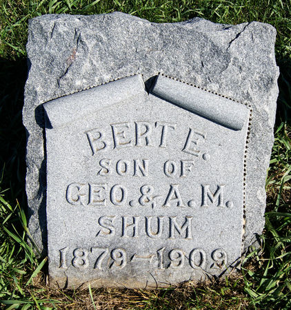 SHUM, BERT ELMER - Taylor County, Iowa | BERT ELMER SHUM 