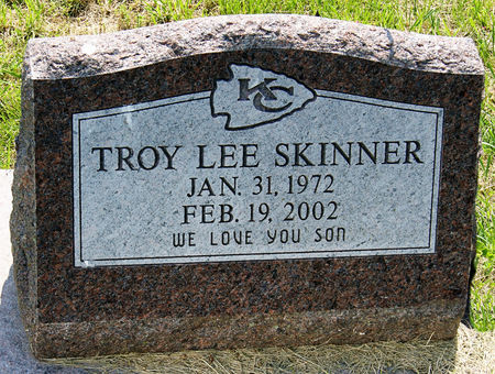 SKINNER, TROY LEE - Taylor County, Iowa | TROY LEE SKINNER 