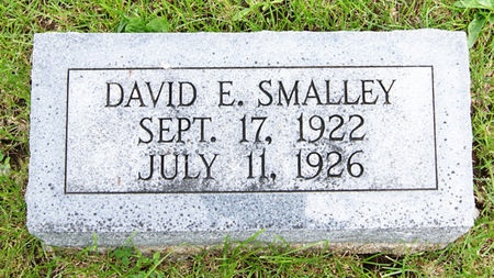 SMALLEY, DAVID EDWARD - Taylor County, Iowa | DAVID EDWARD SMALLEY 
