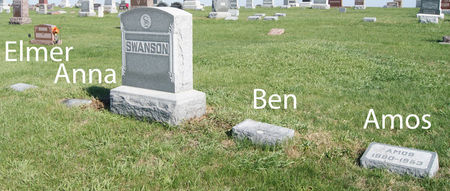 SWANSON, BENJAMIN, FAMILY PLOT - Taylor County, Iowa | BENJAMIN, FAMILY PLOT SWANSON 