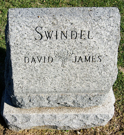 SWINDEL (SWINDLE), DAVID - Taylor County, Iowa | DAVID SWINDEL (SWINDLE) 
