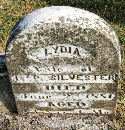 SYLVESTER (SILVESTER), LYDIA (ELYDIA) - Taylor County, Iowa | LYDIA (ELYDIA) SYLVESTER (SILVESTER) 