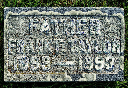 TAYLOR, FRANK FRIES - Taylor County, Iowa | FRANK FRIES TAYLOR 
