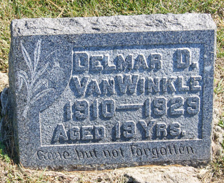 VAN WINKLE, DELMAR DEFOREST - Taylor County, Iowa | DELMAR DEFOREST VAN WINKLE 