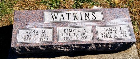 WATKINS, JAMES ESLIE - Taylor County, Iowa | JAMES ESLIE WATKINS 