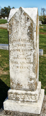 WEEKS, GEORGE - Taylor County, Iowa | GEORGE WEEKS 