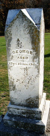 WEEKS, GEORGE - Taylor County, Iowa | GEORGE WEEKS 