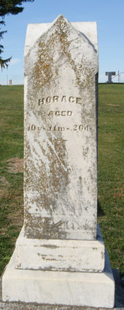 WEEKS, HORACE - Taylor County, Iowa | HORACE WEEKS 