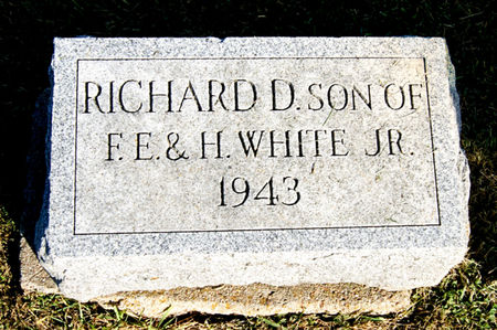 WHITE, RICHARD DAVID - Taylor County, Iowa | RICHARD DAVID WHITE 