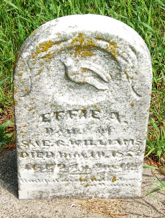 WILLIAMS, EFFIE A. - Taylor County, Iowa | EFFIE A. WILLIAMS 