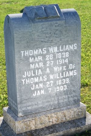 HOUSE WILLIAMS, JULIA ANN - Taylor County, Iowa | JULIA ANN HOUSE WILLIAMS 