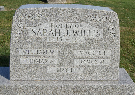 WILLIS, SARAH JANE - Taylor County, Iowa | SARAH JANE WILLIS 