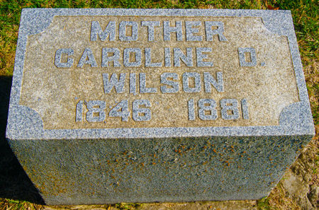 BEALL WILSON, CAROLINE D. - Taylor County, Iowa | CAROLINE D. BEALL WILSON 