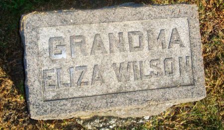 WILSON, ELIZA - Taylor County, Iowa | ELIZA WILSON 