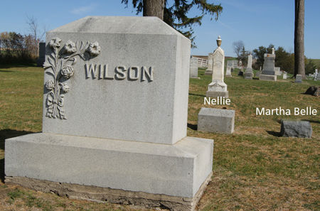 WILSON, NELLIE ADALINE, FAMILY STONE OF - Taylor County, Iowa | NELLIE ADALINE, FAMILY STONE OF WILSON 